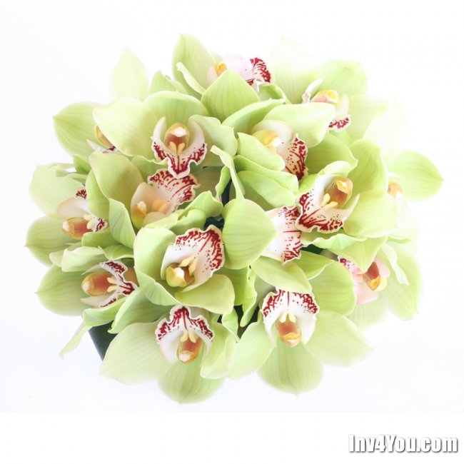 Свадебные букеты из орхидей 24 фото